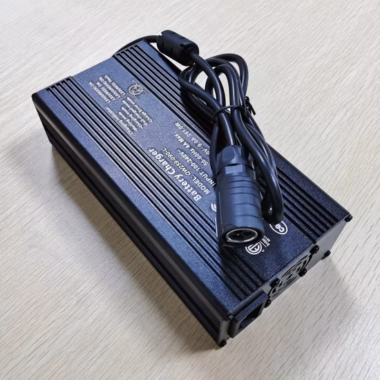 工場直接販売 DC 29.4V 100A 3600W 充電器 7 秒 24V 25.9V リチウム用